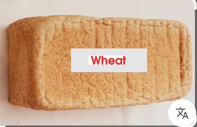 Wheat Bread